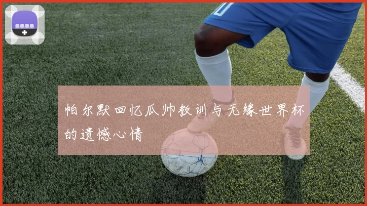 帕尔默回忆瓜帅教训与无缘世界杯的遗憾心情